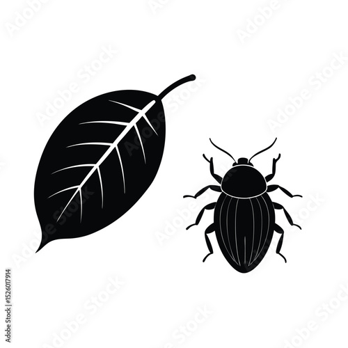 vector illustration of a beetle