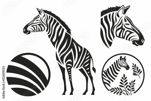 zebra vector illustration