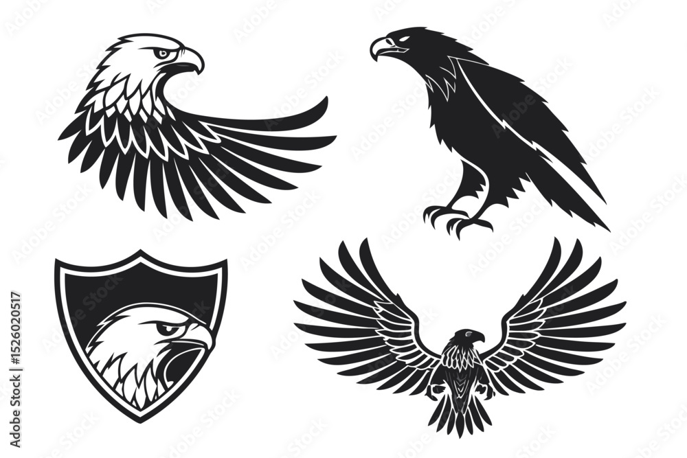 Obraz premium eagle with wings