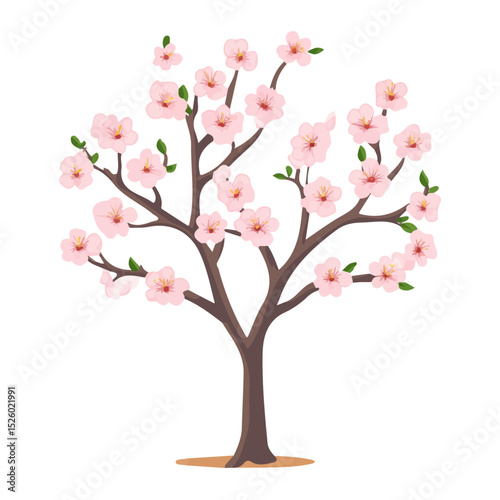 2D flat Old Peach Bloom Tree illustration vector, isolated on a white background.