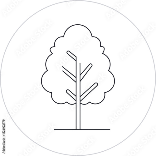 Simple line drawing of a deciduous tree icon