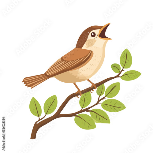 Nightingale Singing Budding Branch illustration vector 2D flat, isolated on a white background.
