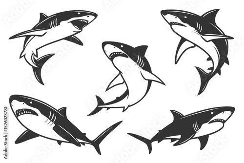 set of sharks