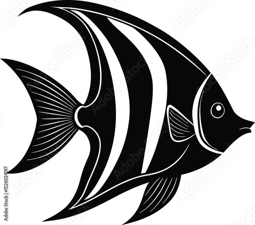 Elegant black and white illustration of a beautiful tropical angelfish swimming