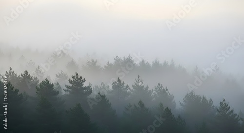 Misty Mountain Forest at Dawn
