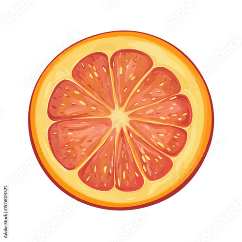 Nectarine Slice illustration vector 2D flat, isolated on a white background.