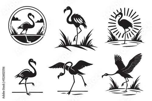 set of birds