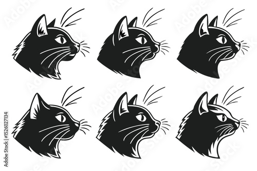 black and white cats