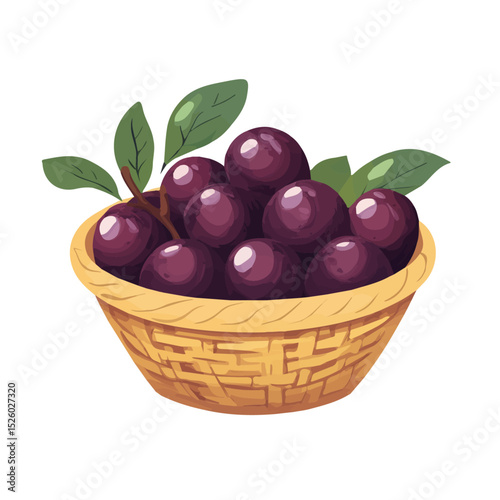 Natal Plum Fruit Basket vector 2D flat illustration, isolated on a white background.
