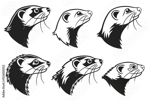 set of funny animals