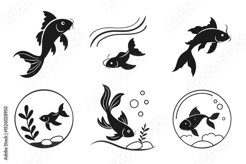 black and white animals