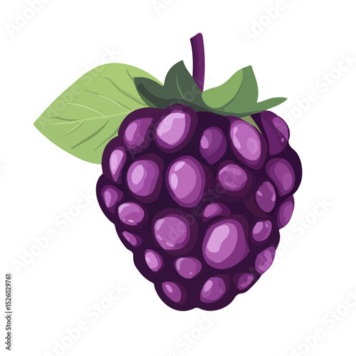 Mulberry Slice 2D flat vector illustration, isolated on a white background.