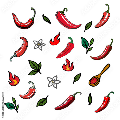 hot chili pepper. Red chili pepper hand drawn illustration. Vibrant red chili pepper illustration. Hand drawn red chili pepper. Red chili pepper doodle