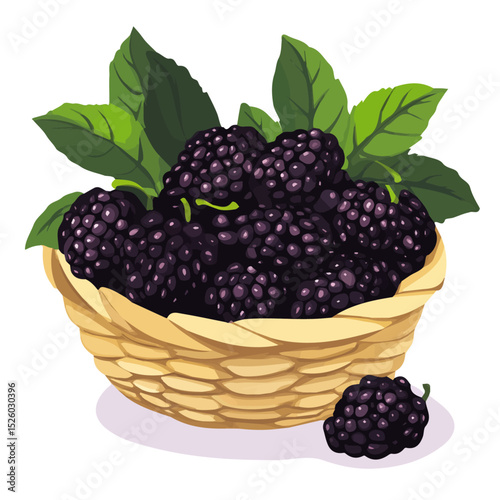 Mulberry Fruit Basket 2D flat vector illustration, isolated on a white background.