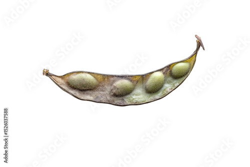 Split legume pod with seeds