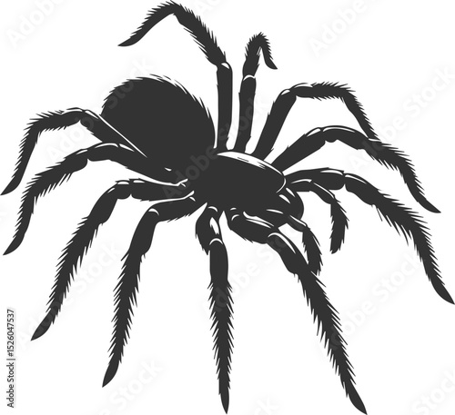 Vector art of a spider animal silhouette drawing
