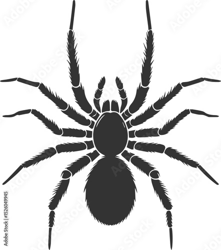Vector art of a spider animal silhouette drawing