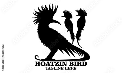 Hoatzin bird icon. hoatzin bird silhouette vector and hoatzin bird logo art with white background
