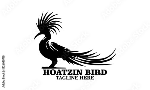 Hoatzin bird icon. hoatzin bird silhouette vector and hoatzin bird logo art with white background
