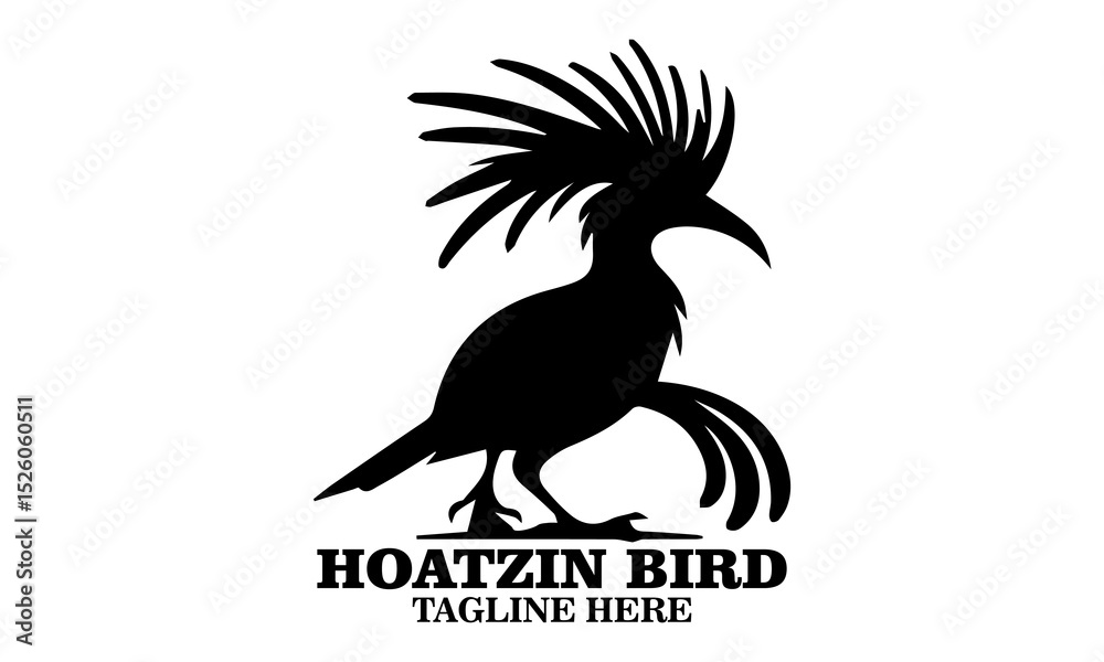 Fototapeta premium Hoatzin bird icon. hoatzin bird silhouette vector and hoatzin bird logo art with white background
