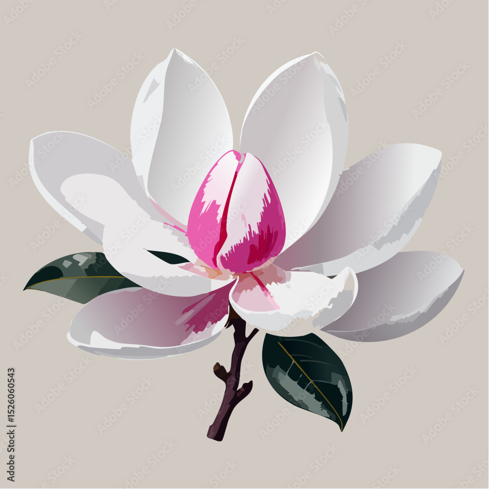 A graceful vector trio of magnolia flowers in bloom, featuring smooth white petals brushed with pink tips, captured with soft lighting and natural form for elegant botanical use.