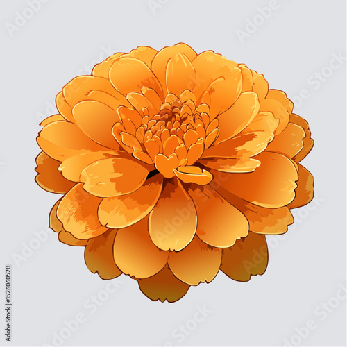A bold vector set of marigold blossoms in vivid orange, showcasing densely layered, ruffled petals and a rounded form, perfect for seasonal, festive, or botanical themes.
