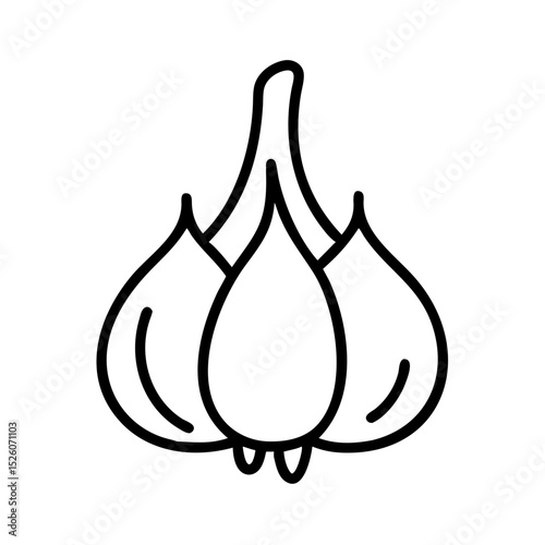 Fresh garlic bulb illustration. Detailed garlic bulb drawing perfect for culinary recipe books, healthy food blogs, and cooking websites.