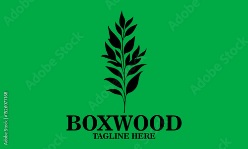 Boxwood icon. boxwood branches vector illustration and boxwood branches logo background and with grenn background