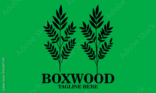 Boxwood icon. boxwood branches vector illustration and boxwood branches logo background and with grenn background