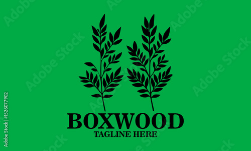 Boxwood icon. boxwood branches vector illustration and boxwood branches logo background and with grenn background