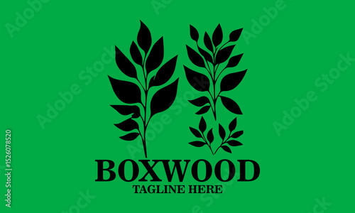 Boxwood icon. boxwood branches vector illustration and boxwood branches logo background and with grenn background