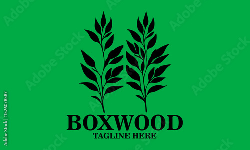 Boxwood icon. boxwood branches vector illustration and boxwood branches logo background and with grenn background