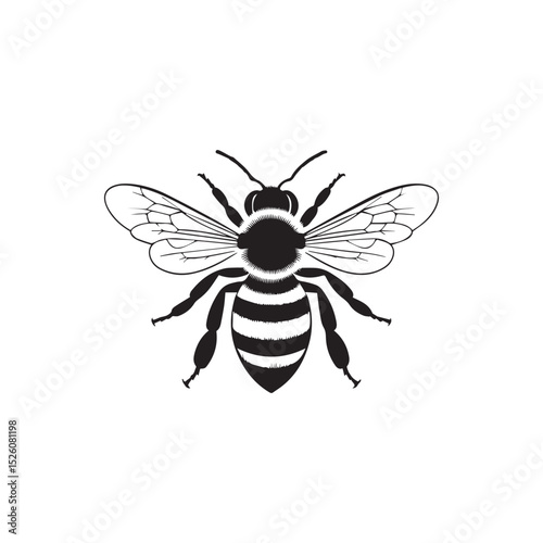 Honeybee silhouette detailed illustration vector graphic
