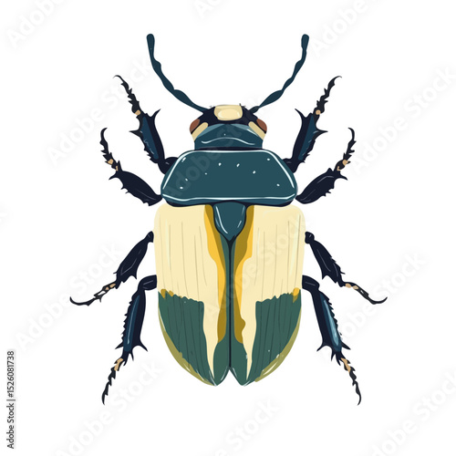 Goliath Beetle illustration vector 2D flat, isolated on a white background.