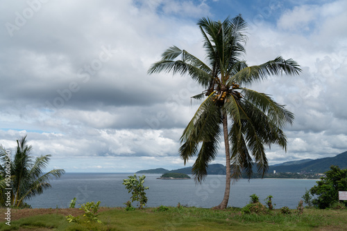 Fototapeta Naklejka Na Ścianę i Meble -  A lone coconut palm tree stands against the backdrop of a cloudy sky and tropical ocean landscape, evoking calm and solitude.