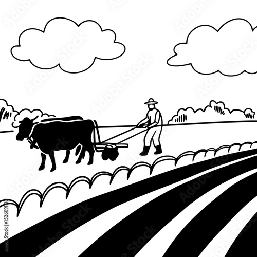 cow on the field vector illustration