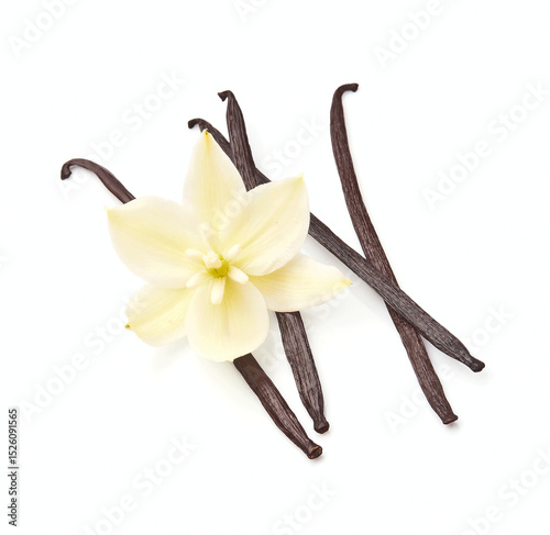 Vanilla stick with flower on white backgrounds