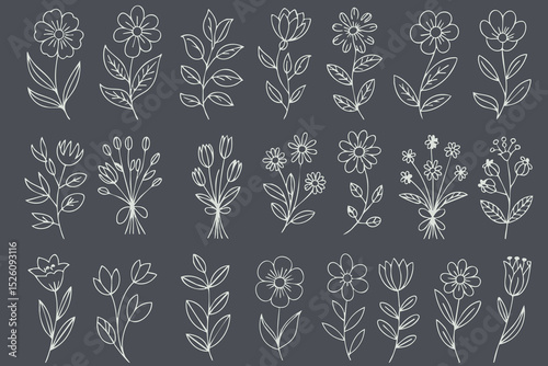 Delicate floral illustrations featuring various flowers and leaves in hand drawn style, perfect for design projects and decorations