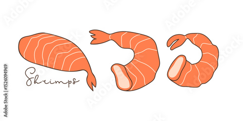 Shrimp set. Hand drawn lineart peeled shrimps vector illustration and hand written inscription. Sign for menu of fish restaurants, for packaging, markets and shops. Red shrimps or prawns. Seafood.