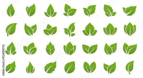 Collection of Green Leaf Icons 30 Diverse Leaf Illustrations for Design Projects