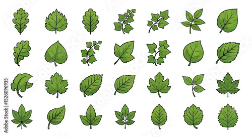 Collection of Diverse Green Leaves Vector Illustrations for Design Projects