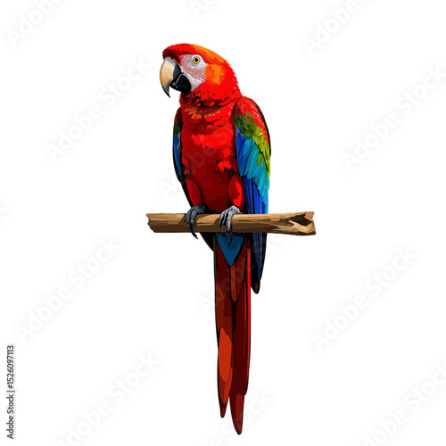 Colorful parrot perched on a branch against a white background  
