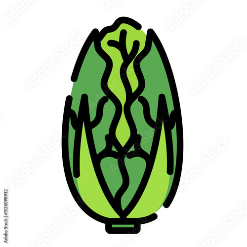 napa cabbage icon	