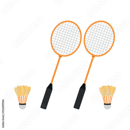Badminton Racket and Shuttlecock