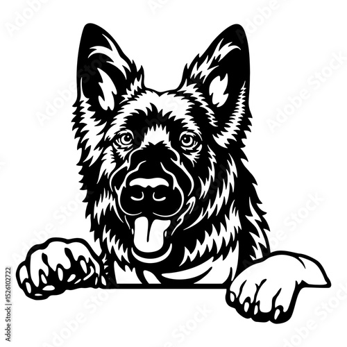 Belgian Shepherd Dog - Peeking Dog Breed - Pet Dog Vector Portrait, Dog Silhouette Stencil