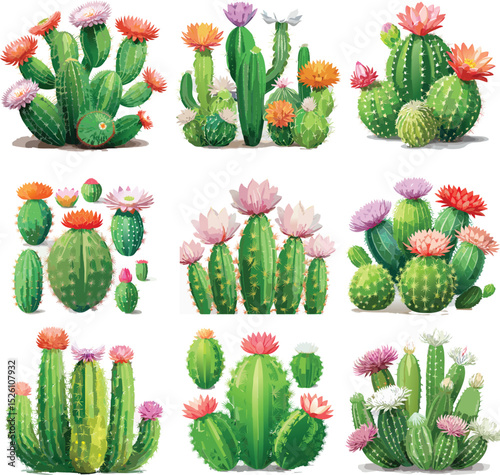 Echinopsis Cactus Set Vector – Realistic Succulent Plant Collection Illustration