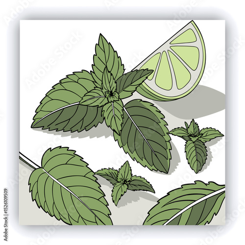 Fresh mint leaves and a lime slice.  A variety of mint leaves, various shades of vibrant green, are scattered across a light gray surface.  Some leaves appear slightly frosted or wet, with visible wat