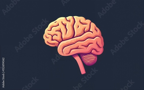 Human brain icon - vector. High quality