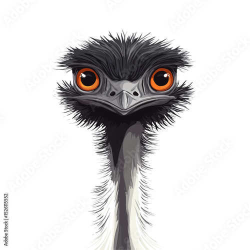 Emu Close Up vector 2D flat illustration, isolated on a white background.