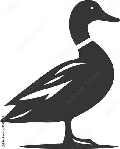 Bird silhouette of a duck vector illustration